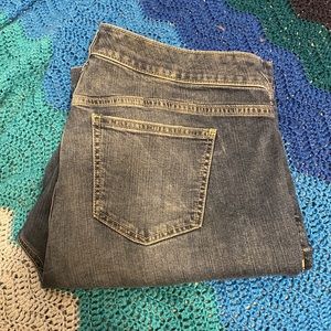 Torrid flare medium wash jeans 16T